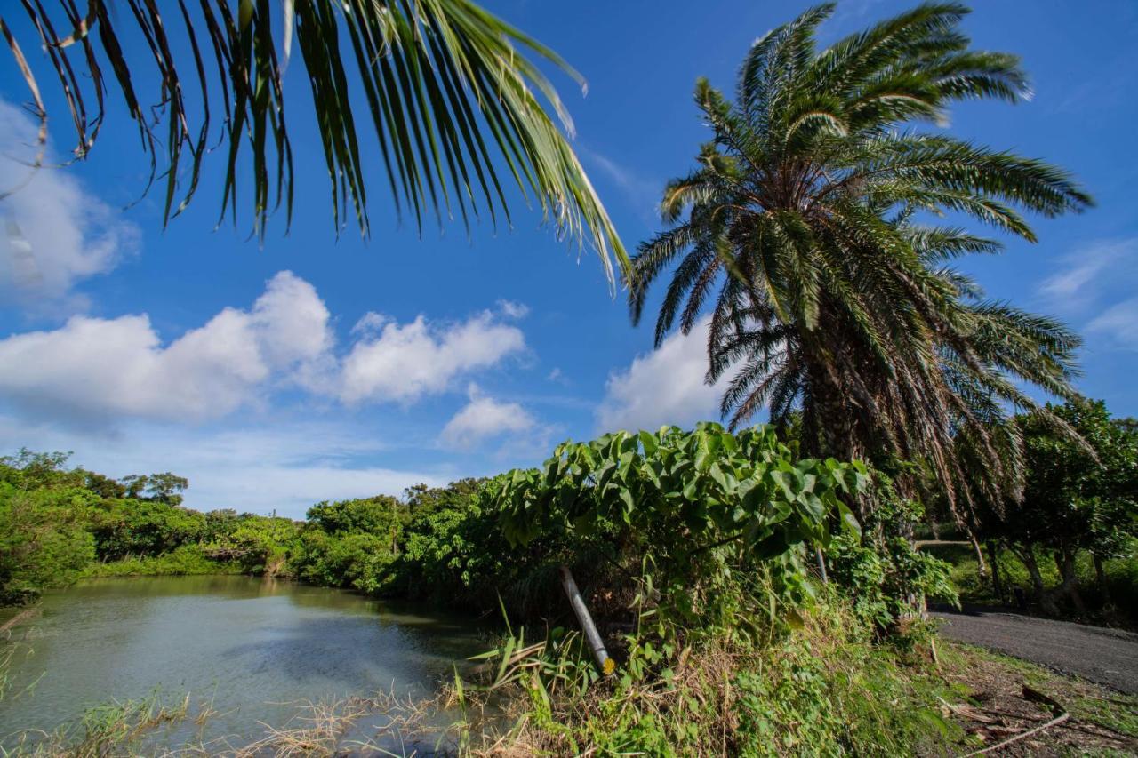 Toptai Homestay Kenting Eksteriør billede